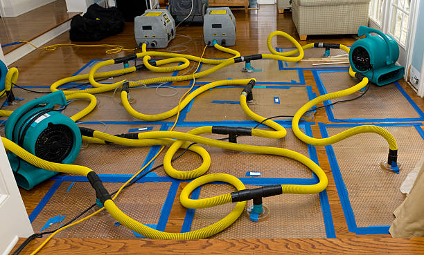 Professional Burst Pipe Water Damage technician working in Canal Point, FL